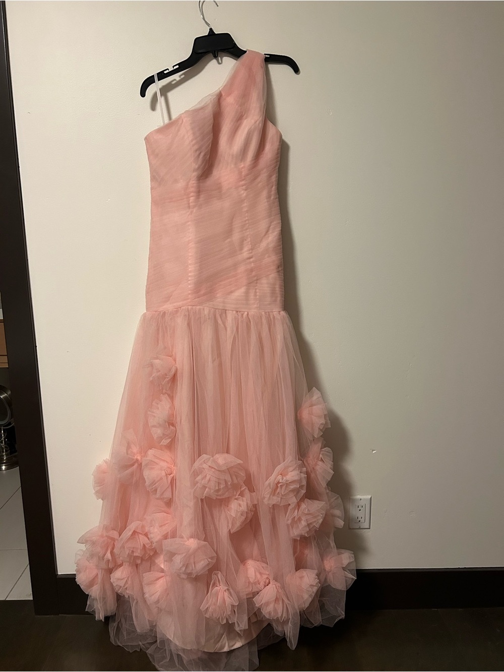 One-Shoulder Blush Rose-Appliqué Evening Gown - Picture 2 of 4
